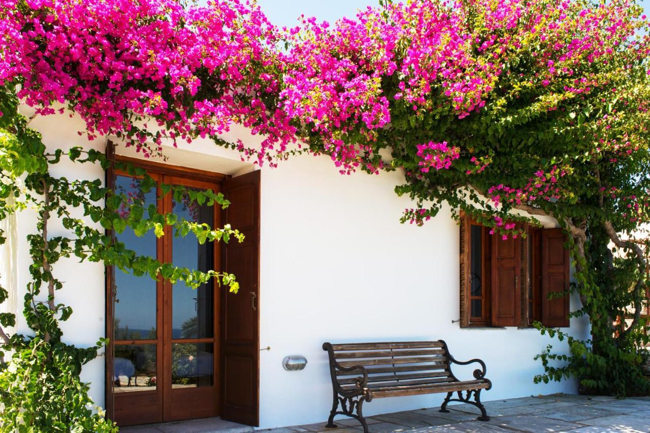Villa Celestina, Great For Privacy And Seclusion Chrisopigi  Exteriör bild